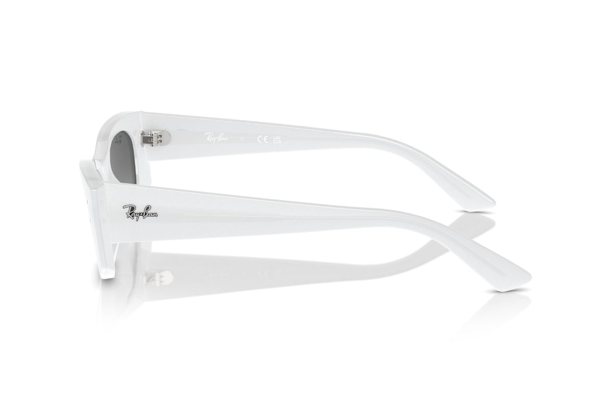 Ray-Ban Kat Degradé Sustentable
