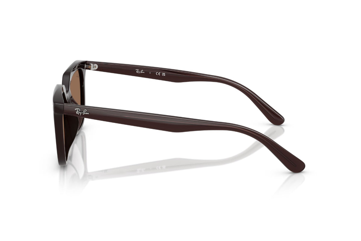 Ray-Ban Lentes de Sol