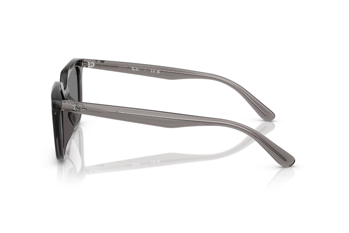 Ray-Ban Lentes de Sol