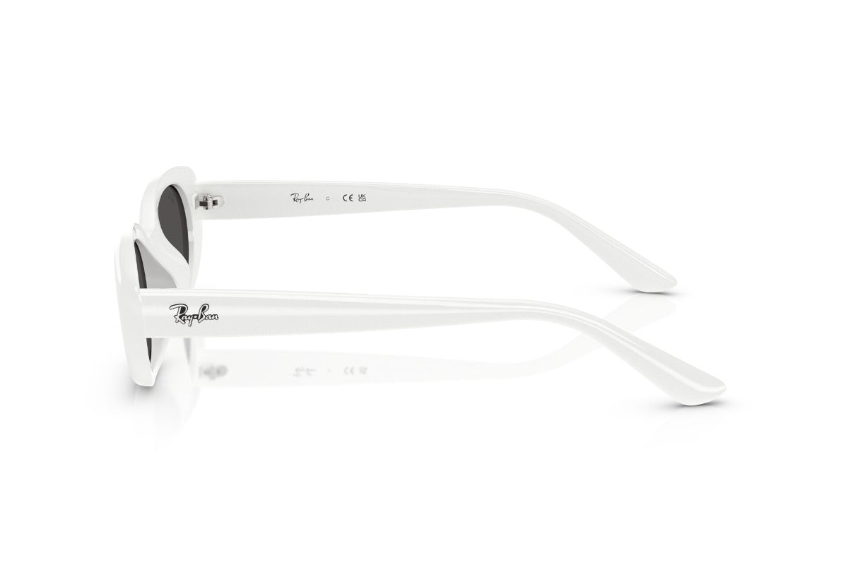 Ray-Ban Lentes de Sol