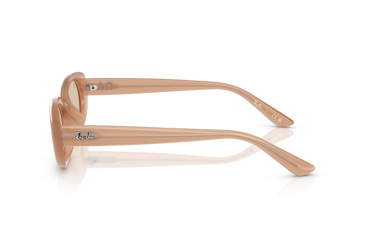 Ray-Ban Lentes de Sol