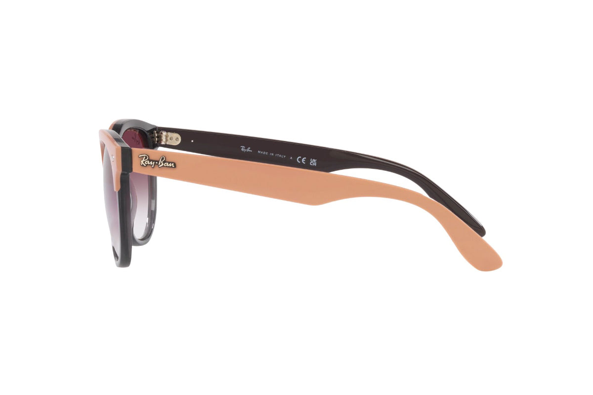 Ray-Ban Iris