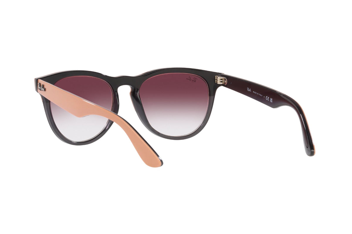 Ray-Ban Iris