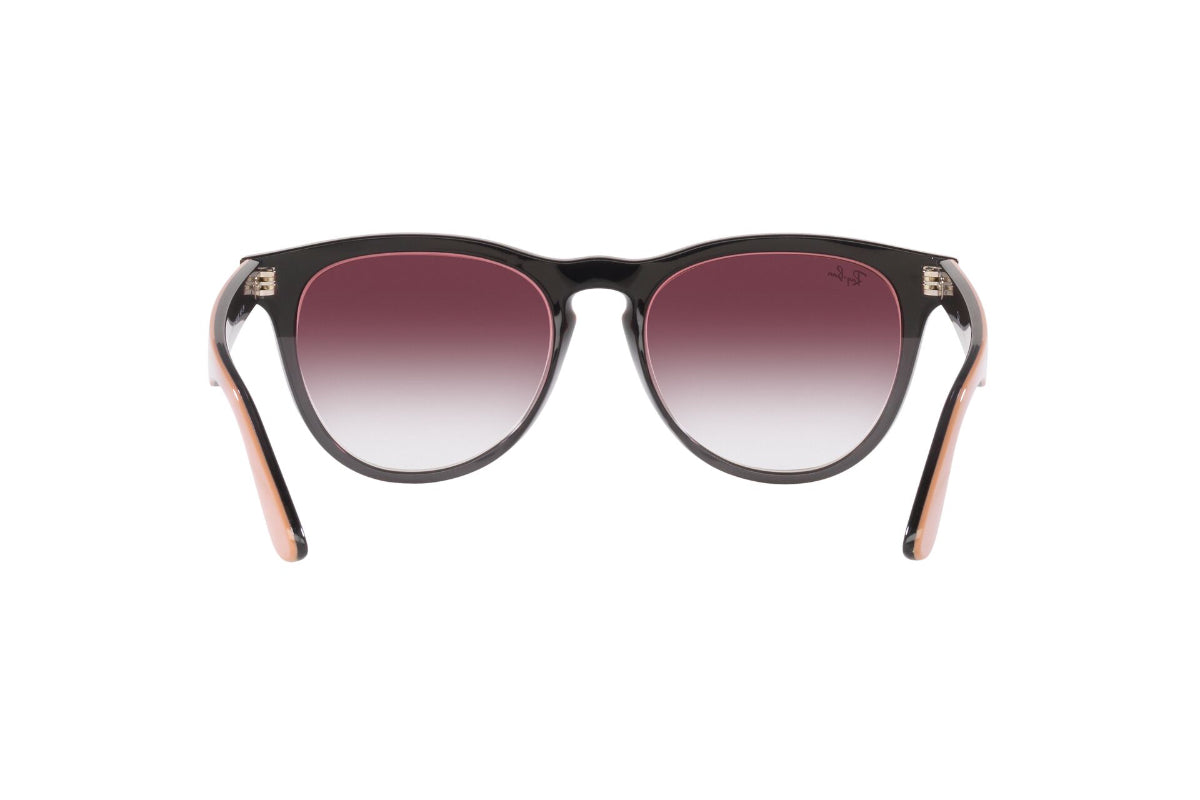 Ray-Ban Iris