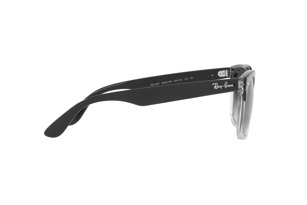 Ray-Ban Steve