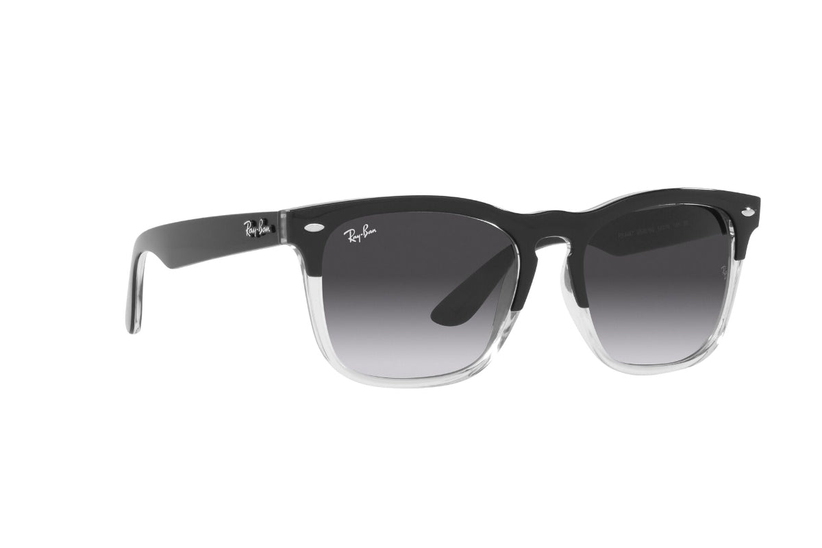 Ray-Ban Steve