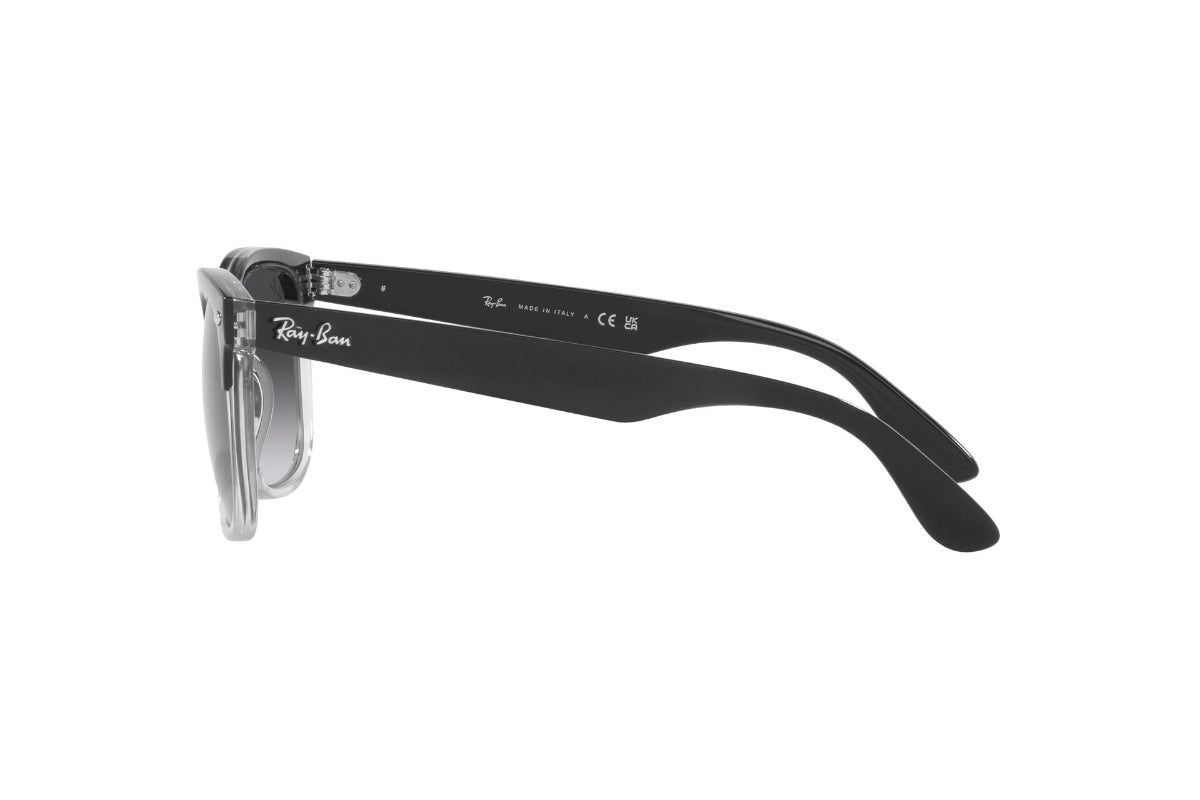 Ray-Ban Steve