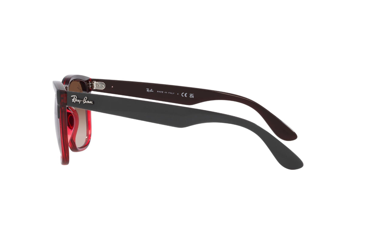 Ray-Ban Lentes de Sol Steve RB4487