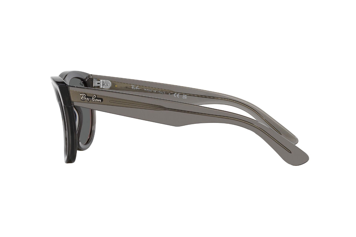 Ray-Ban Wayfarer Reverse