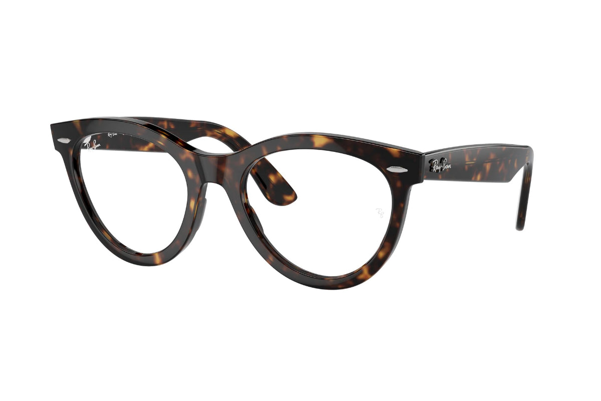 Ray-Ban Optical Wayfarer Way