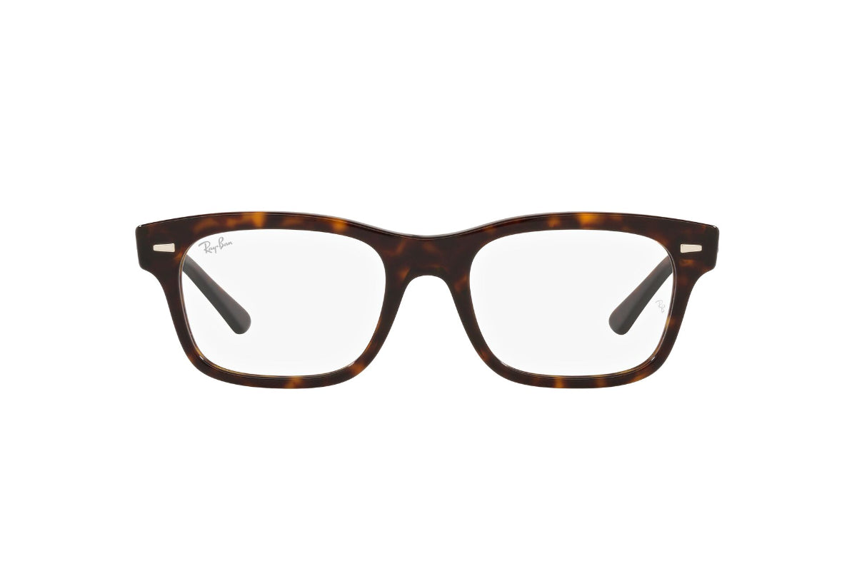 Ray-Ban Optical Mr Burbank