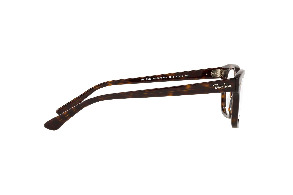 Ray-Ban Optical Mr Burbank