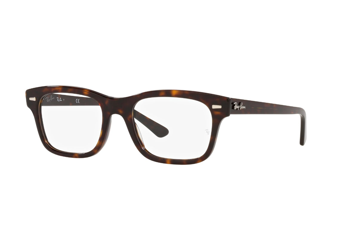 Ray-Ban Optical Mr Burbank
