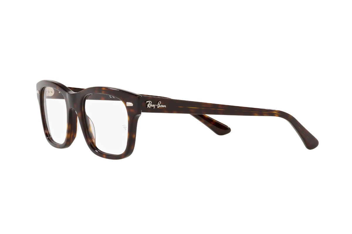 Ray-Ban Optical Mr Burbank