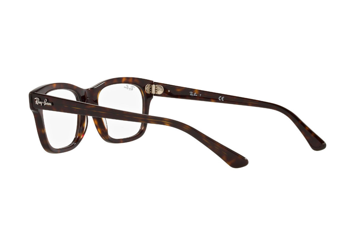 Ray-Ban Optical Mr Burbank