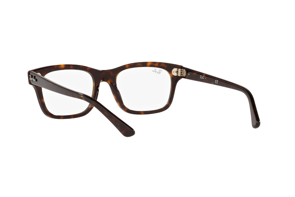 Ray-Ban Optical Mr Burbank