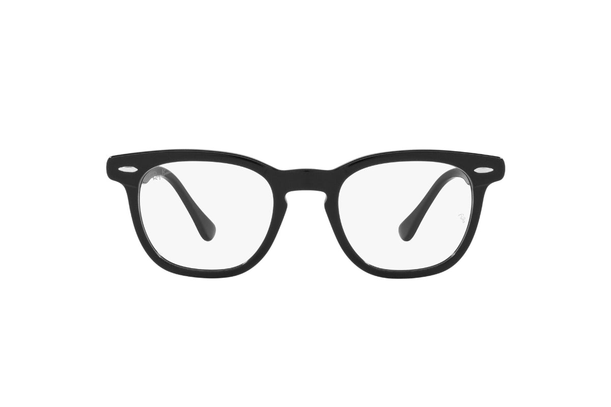 Ray-Ban Optical Hawkeye