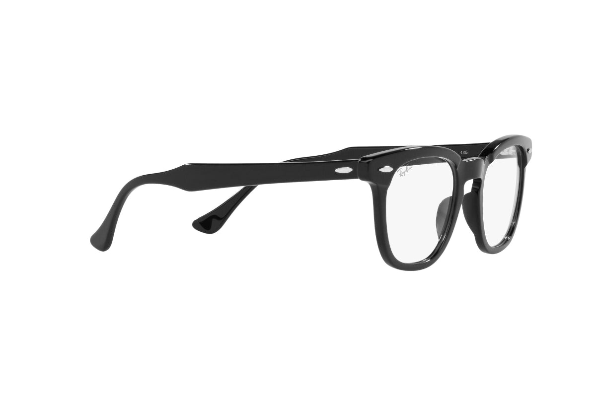 Ray-Ban Optical Hawkeye