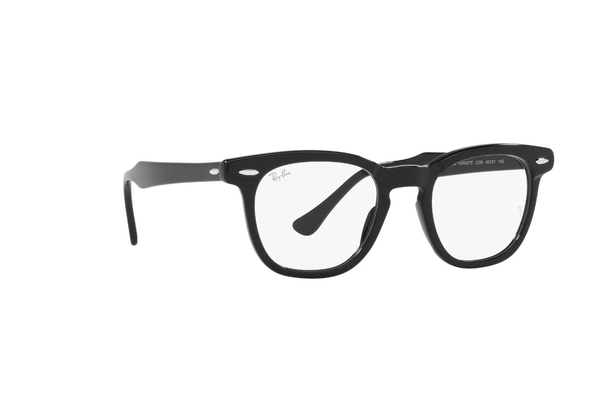 Ray-Ban Optical Hawkeye