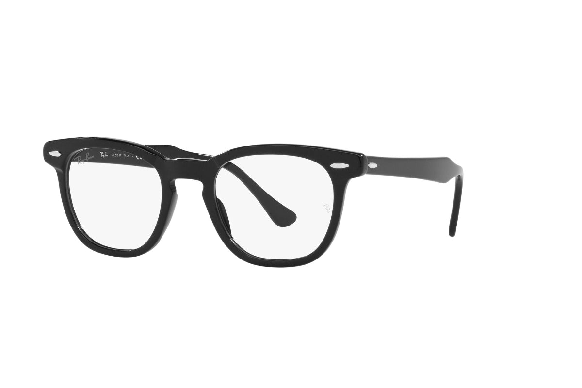Ray-Ban Optical Hawkeye