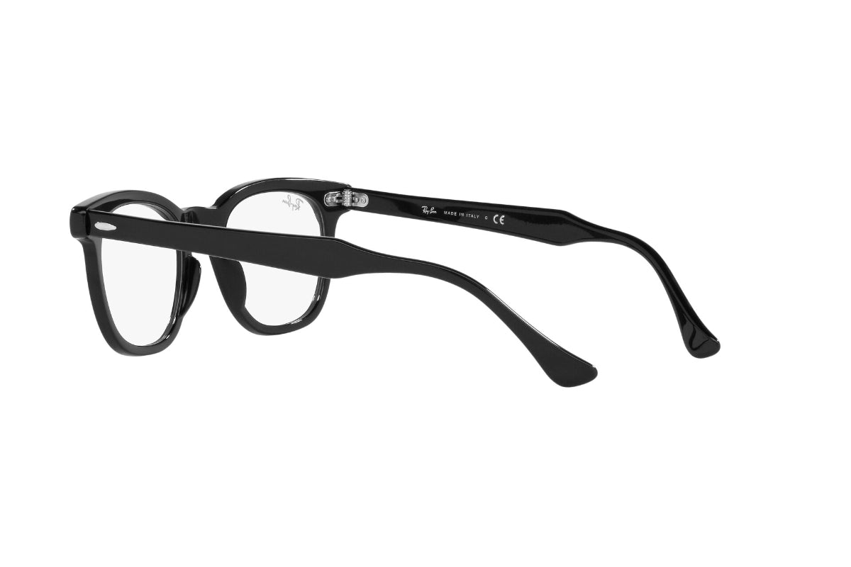 Ray-Ban Optical Hawkeye