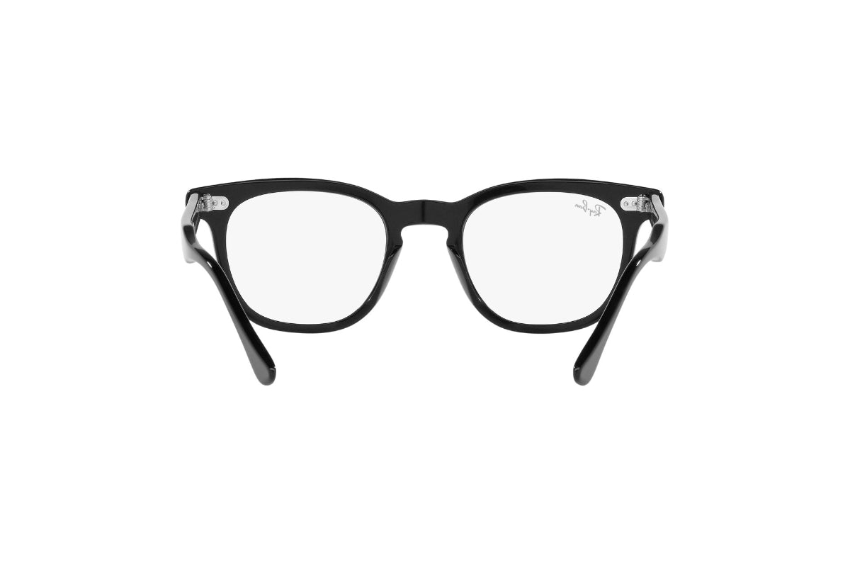Ray-Ban Optical Hawkeye