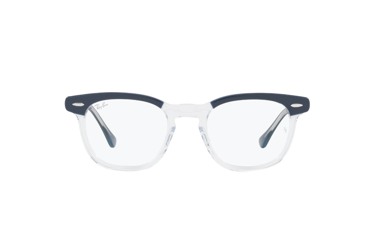 Ray-Ban Optical Hawkeye