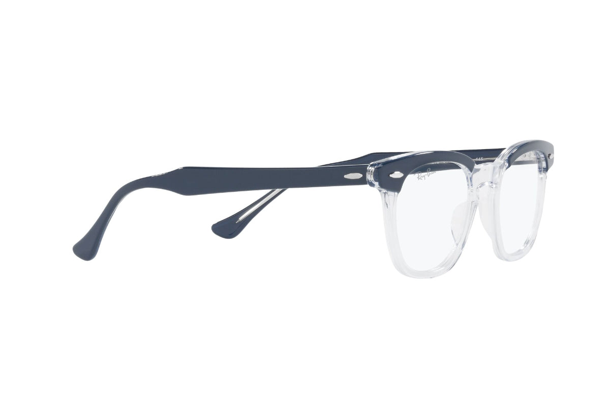 Ray-Ban Optical Hawkeye