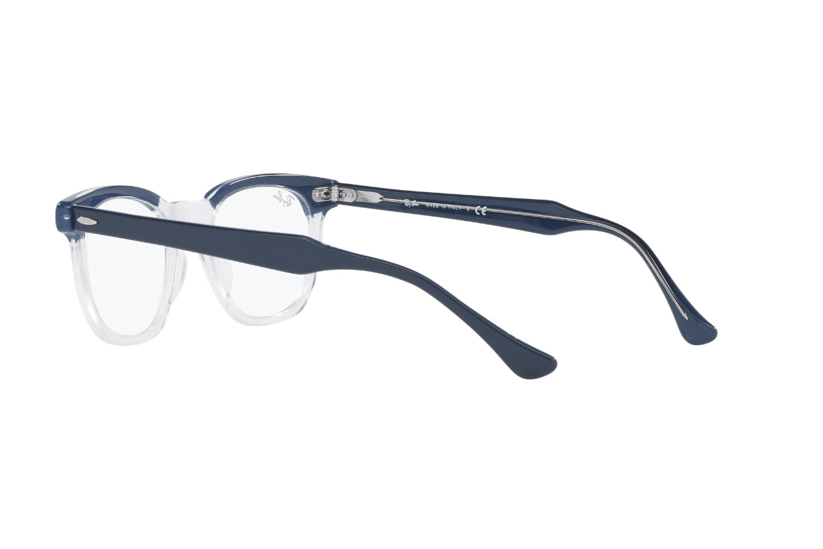 Ray-Ban Optical Hawkeye