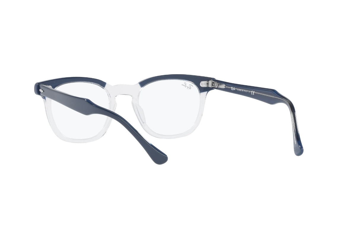 Ray-Ban Optical Hawkeye