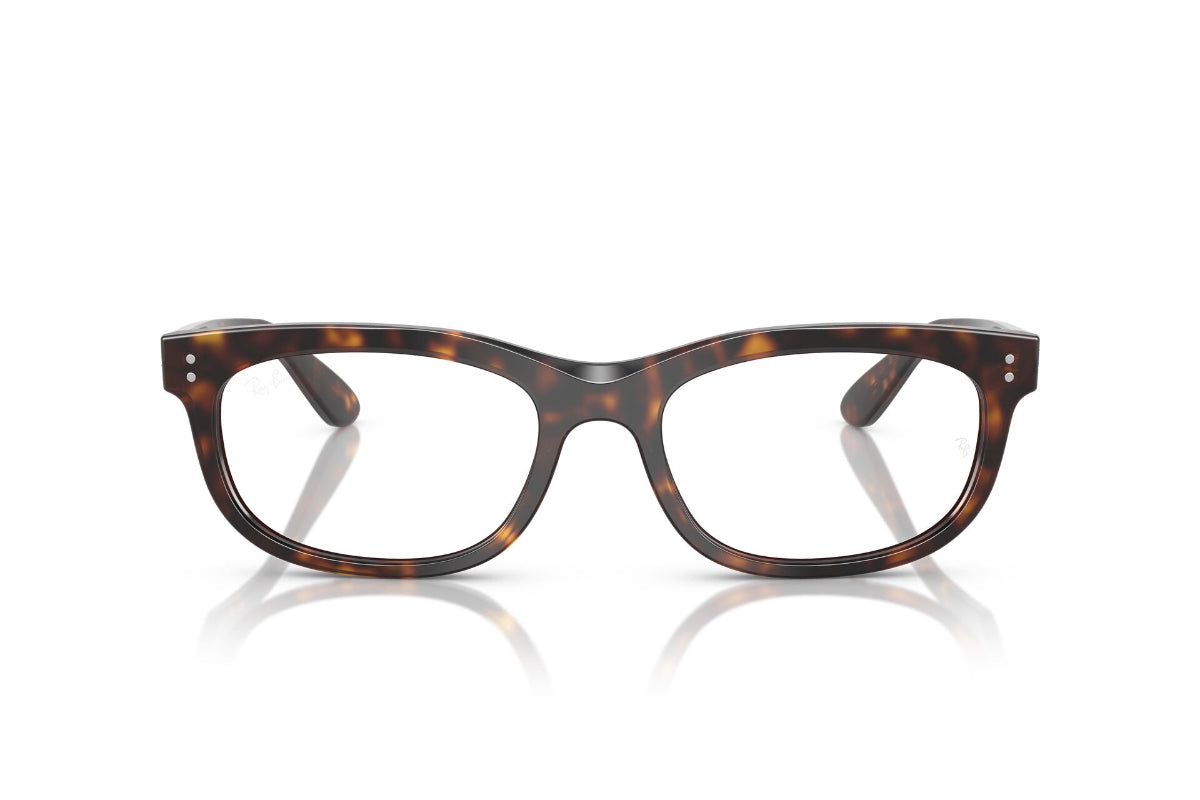 Ray-Ban Optical Balorette
