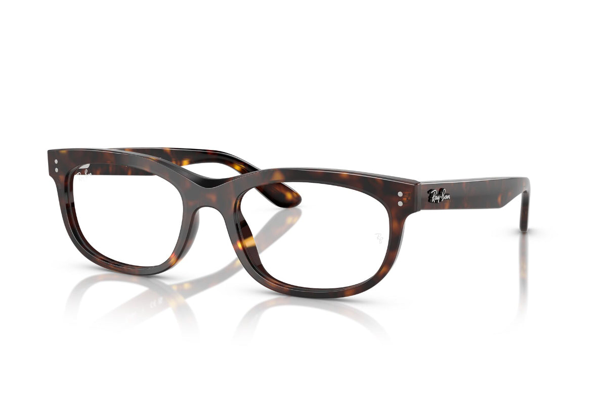 Ray-Ban Optical Balorette