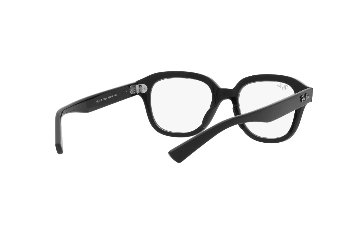 Ray-Ban Optical Erik