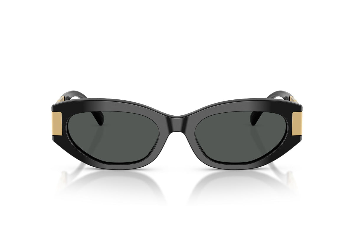 Versace Lentes de Sol Greca VE4501