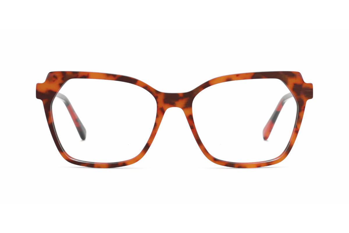 York Eyewear Dion